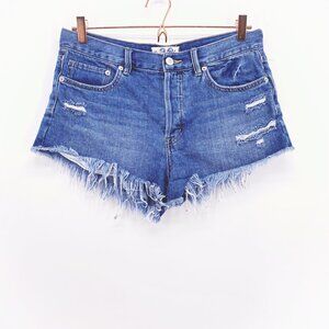 We The Free Loving Good Vibrations Denim Shorts